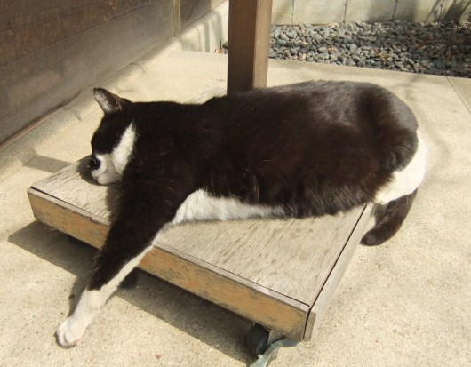 DSCF1429.JPG