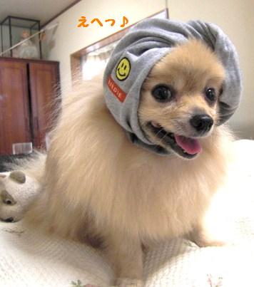 babu6.JPG