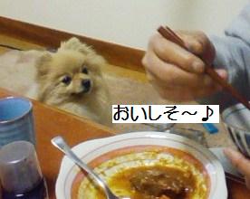 blog4.jpg