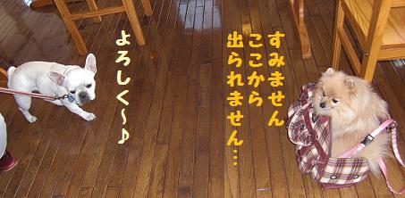 izu201012a.jpg
