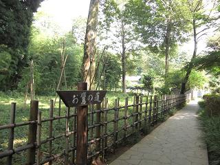 kokubunji6.JPG