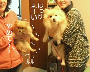 momotaku4.JPG
