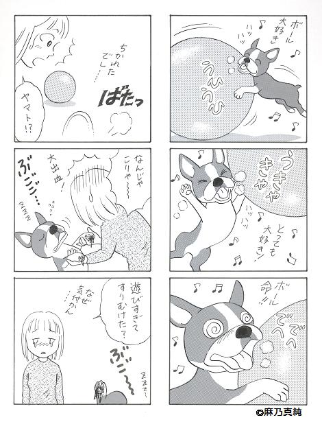 oinusama5.JPG