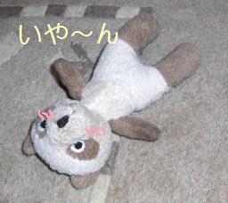 omotya5.JPG