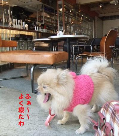 simokita5.JPG