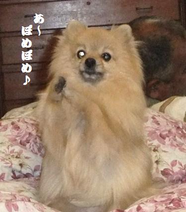 tuki4.JPG